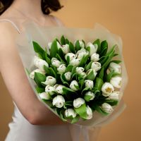 Тюльпаны белые 35шт