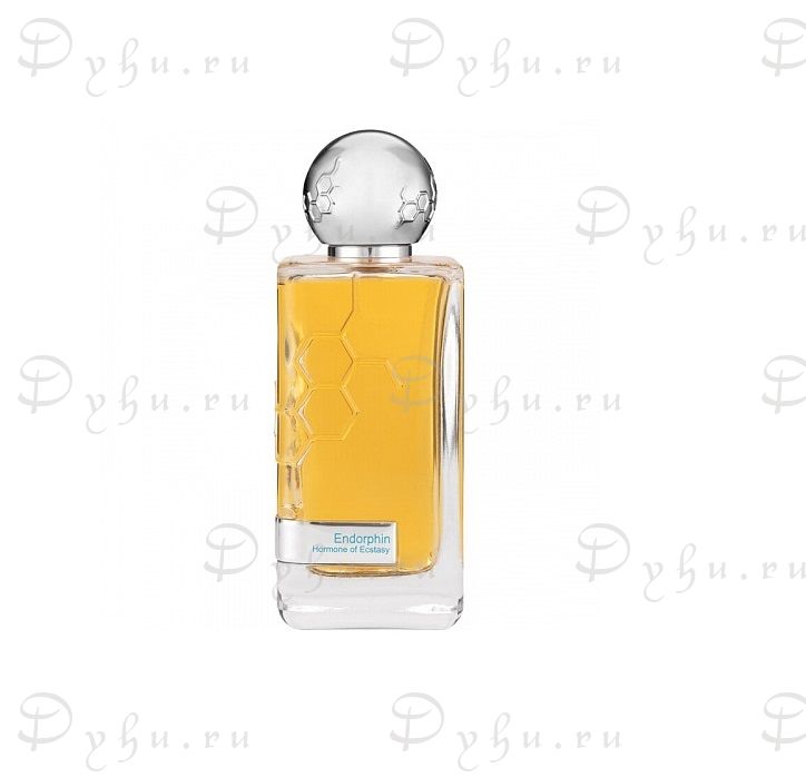 Hormone Paris This Is Not Endorphin