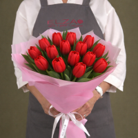 Тюльпаны красные в упаковке (от 11 шт)