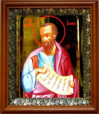 Икона Елисей, пророк в киоте с басмой Виноградная Лоза (UV-печать)(30382)