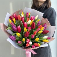 Тюльпан разноцветный 51 шт