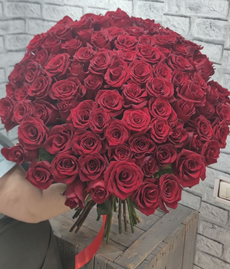 101 роза Эквадор 60-70см под ленты