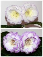 ЕН-Солнце Внутри/ЕН-Луна в Океане