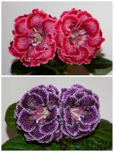 ЕН-Ажурные Банты/ЕН-Вивальдина