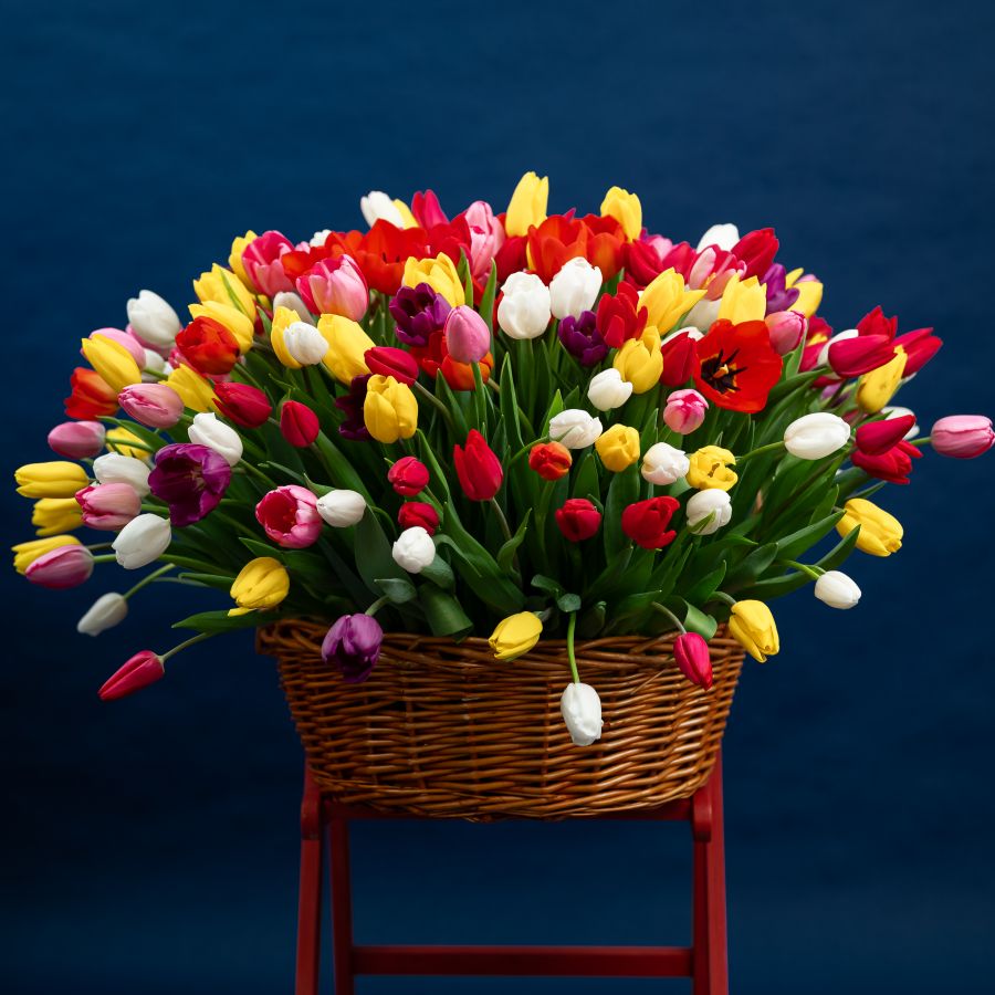 Тюльпаны в корзине