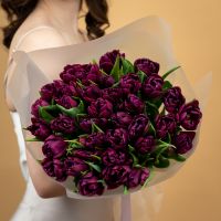 Тюльпаны фиолетовые пионовидные от 15шт