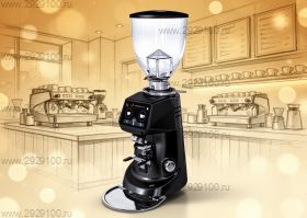 Кофемолка Fiorenzato F 64 E черная