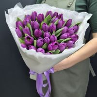 Аметистовый шелк