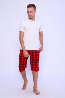 Шорты мужские 46580 TM Modalina [красная клетка]