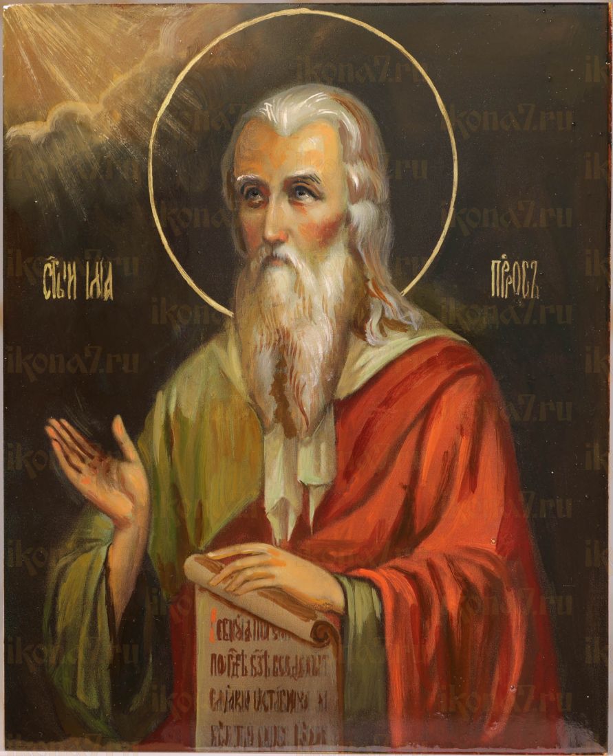 Рукописная икона Илия Пророк 17х21 см (масло)