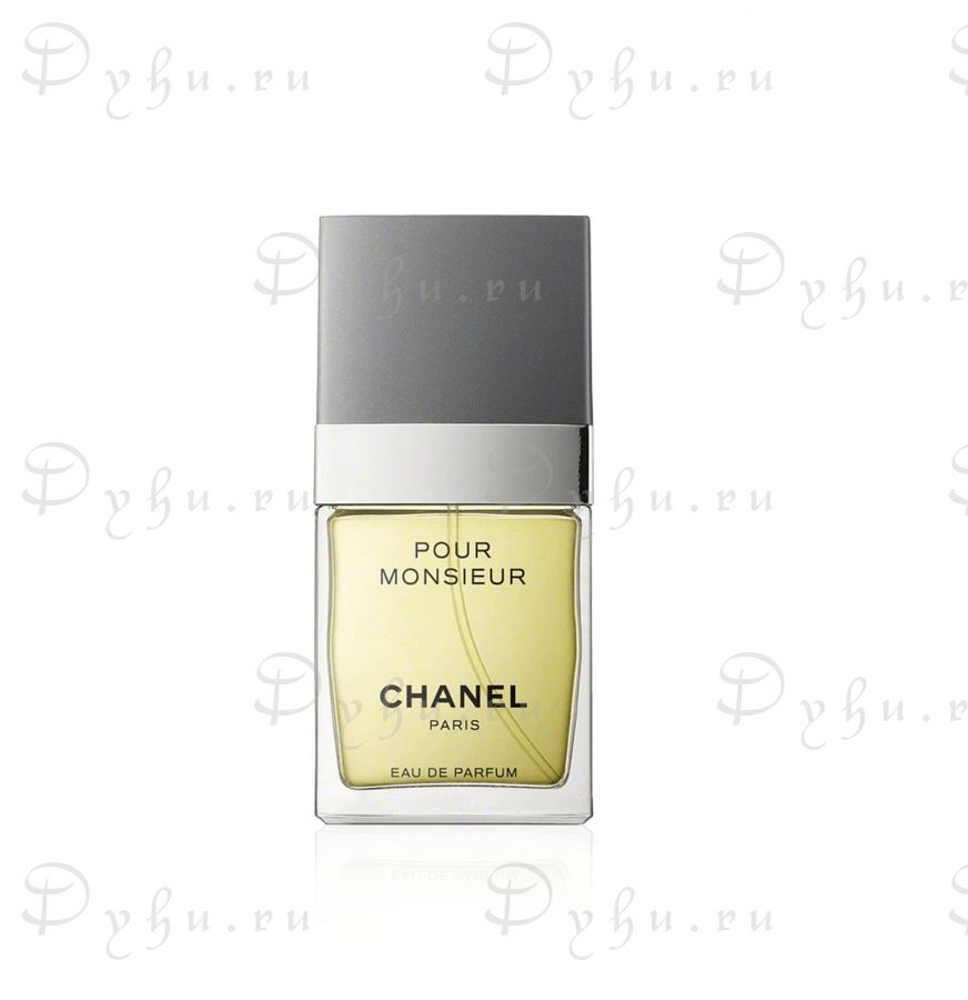 Chanel Pour Monsieur
