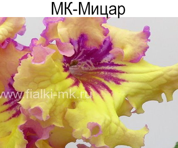МК-Мицар (М.Карпова)  НОВИНКА КАТАЛОГА