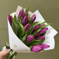 Тюльпаны фиолетовые в упаковке (от 11 шт)