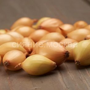 Лук-севок Коррадо 10-21 Россия, 0,5 кг