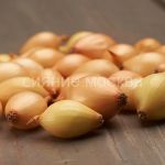 Luk-sevok-Korrado-10-21-Rossiya-0-5-kg