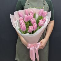Розовые тюльпаны