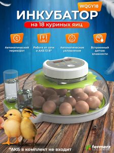 Инкубатор WQGY18 на 18 куриных яиц с автоматическим переворотом