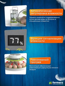 Инкубатор WQGY18 на 18 куриных яиц с автоматическим переворотом