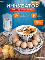 Инкубатор автоматический Эйч-эйч-ди (HHD)12 на 12 яиц автоматический переворот, цифровой дисплей