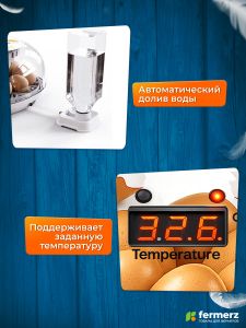 Инкубатор автоматический Эйч-эйч-ди (HHD)12 на 12 яиц автоматический переворот, цифровой дисплей