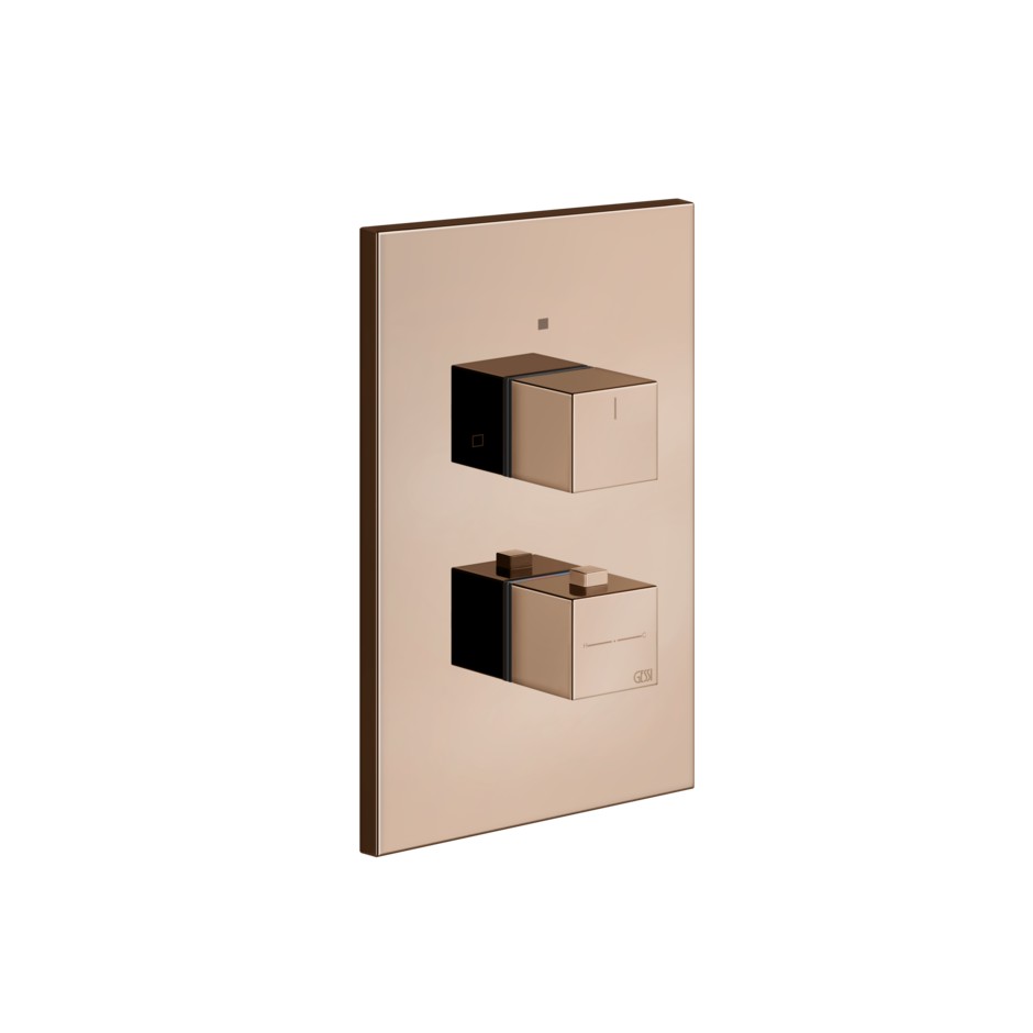 Смеситель Gessi Rettangolo для душа 20182 ФОТО