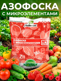 Удобрение Азофоска с микроэлементами 1 кг.