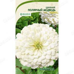 Циния Полярный медведь 0,3гр Садовита