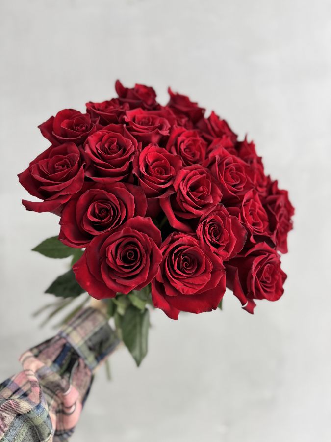 Роза красная