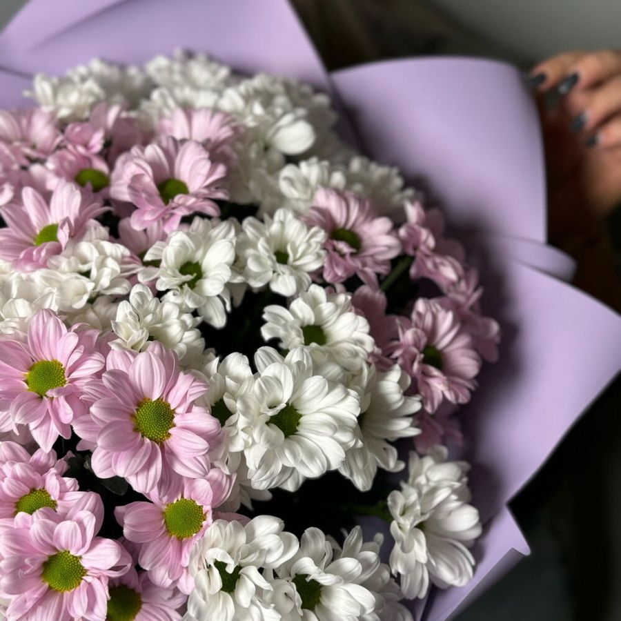 Букет розово белых хризантем