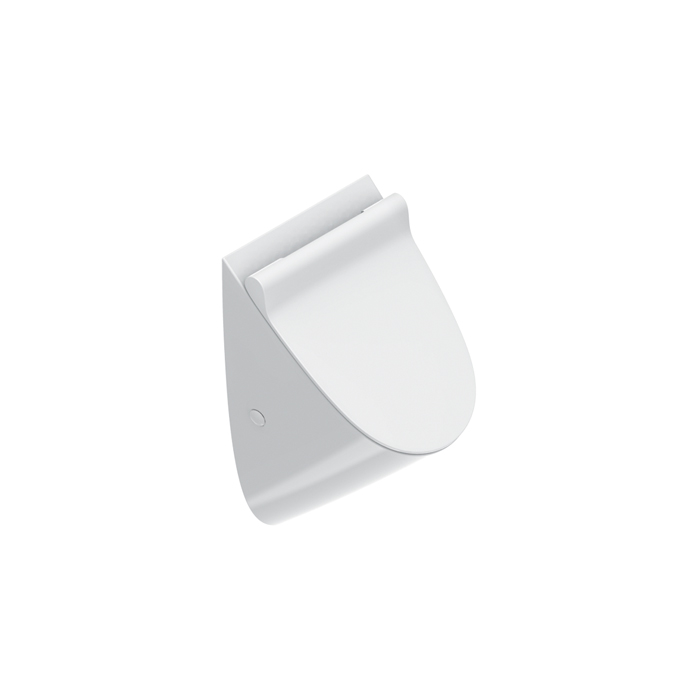 Изображение Писсуар подвесной  c отв. под крышку Catalano Comfort Rimless 54x30 см