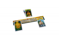 В поисках Эльдорадо. Золотые храмы