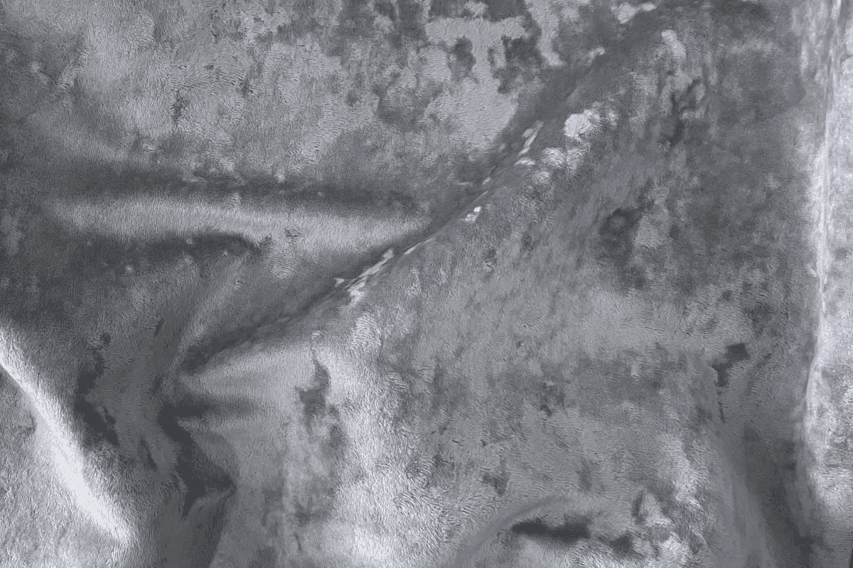 Блисс (Bliss) 39-2