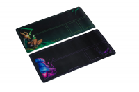 Slay the Spire. Срази Шпиль. Коллекционное издание