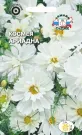Kosmeya-Ariadna-0-04-g-SeDeK