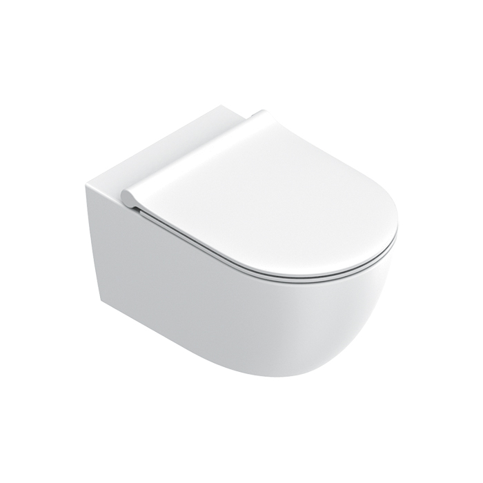 Изображение Унитаз подвесной 55x35 Catalano SFERA безободковый смыв Tornado покрытие Twinglaze+ без крепежа цвет белый матовый