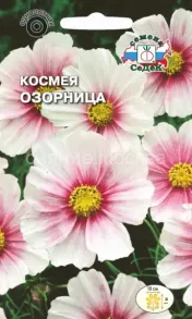 Космея Озорница, 0,5 г (СеДеК)