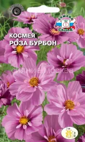 Космея Роза Бурбон, 0,04 г (СеДеК)