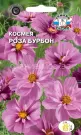 Kosmeya-Roza-Burbon-0-04-g-SeDeK