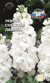 Левкой Снежная лавина, 0,1 г (СеДеК)