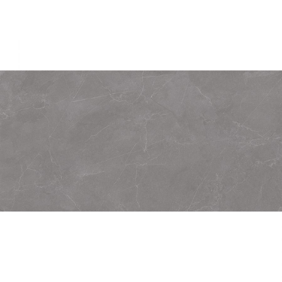 Valencia Grey 60x120 Matt