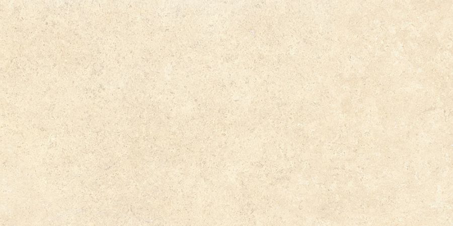 60х120 SandStone Песочный Матовый R10A Ректификат