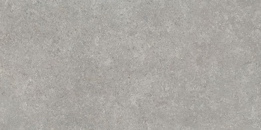 60х120 SandStone Серый Матовый R10A Ректификат