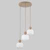 Подвесной светильник со стеклянными плафонами TK Lighting 11050 / подвесной светильник / Ballo