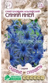 Синеголовник Синий Иней альпийский, 10 шт (Евросемена)