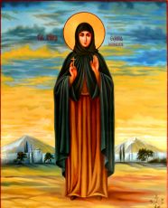 Рукописная икона Евдокия Илиопольская на липовой доске (ктг4-22332)