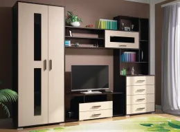 Гостиная ЕВРОПА-1 (ш2800*г450*в2020мм) Венге/дуб молочный