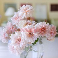 Пэрль д'Ор (Perle d'Or)