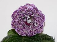 ЕН-Тарантелла (сел.Е.Николаева)