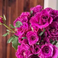 Рамукан (Ramukan)