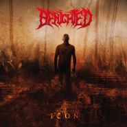 BENIGHTED - Icon